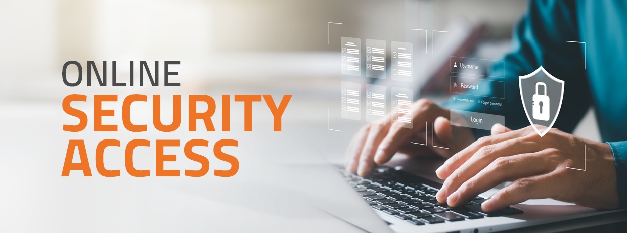Online security access Online security access